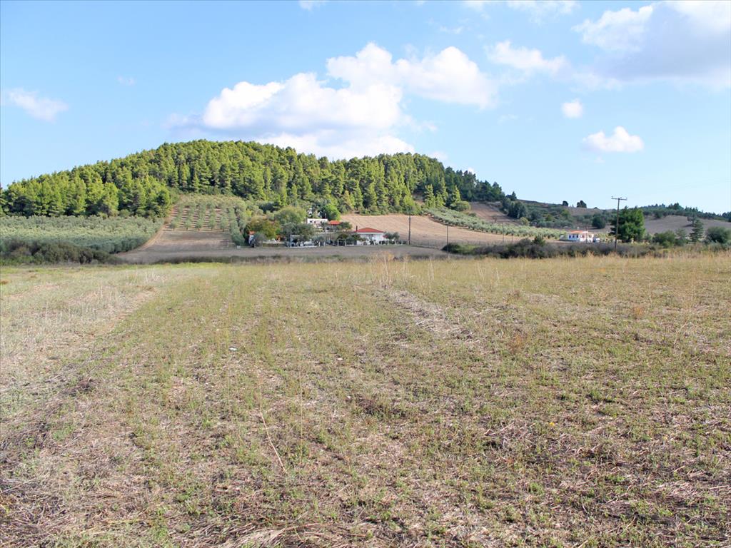 Продажа - Земельный участок 7500 m² на Кассандре (Халкидики)