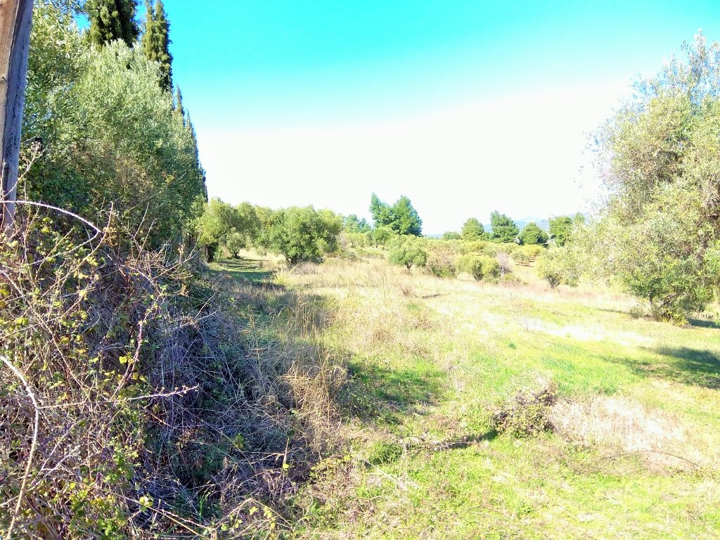 Продажа - Земельный участок 5200 m² на Ситонии (Халкидики)
