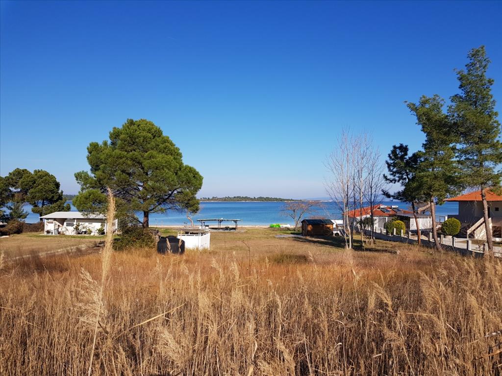 Продажа - Земельный участок 6300 m² на Ситонии (Халкидики)