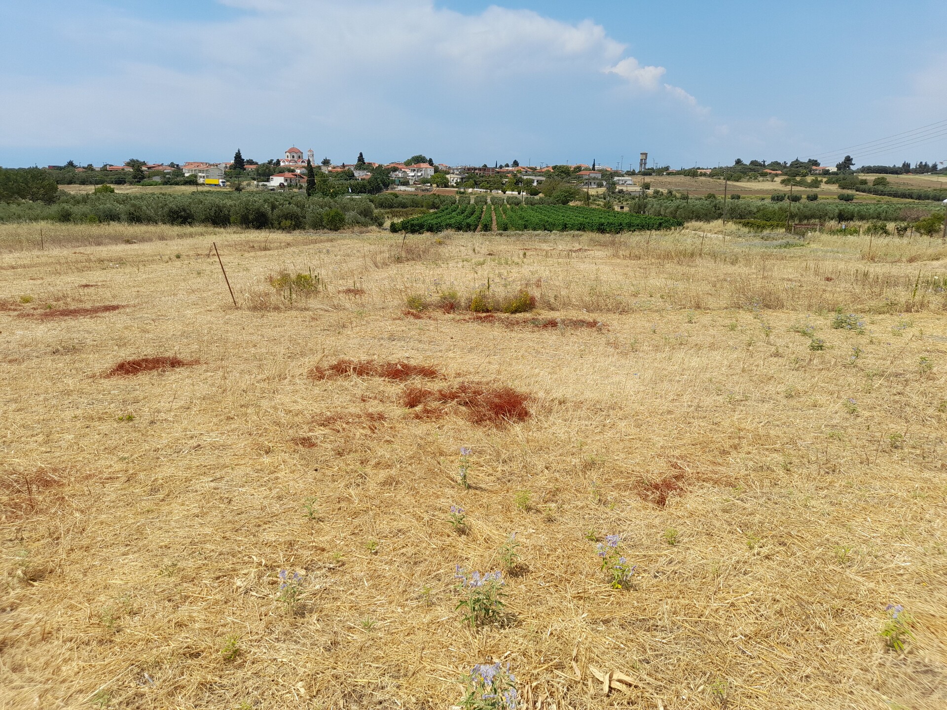 Продажа - Земельный участок 370 m² в Халкидиках