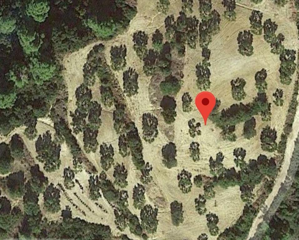 Продажа - Земельный участок 10000 m² на Кассандре (Халкидики)
