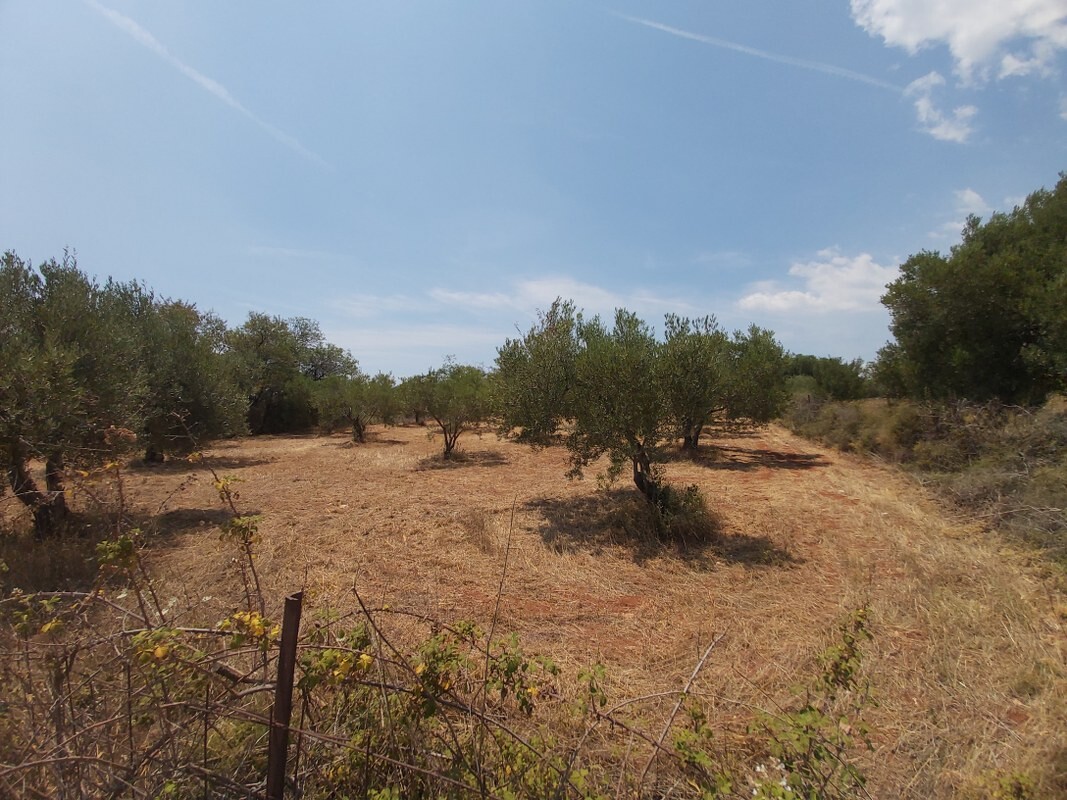 Продажа - Земельный участок 8300 m² на Ситонии (Халкидики)