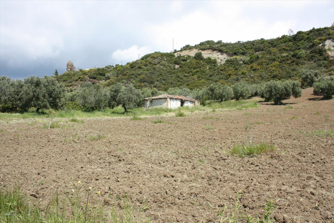 Продажа - Земельный участок 4700 m² на Кассандре (Халкидики)