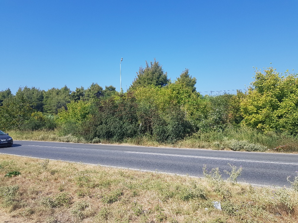 Продажа - Земельный участок 1500 m² на Кассандре (Халкидики)