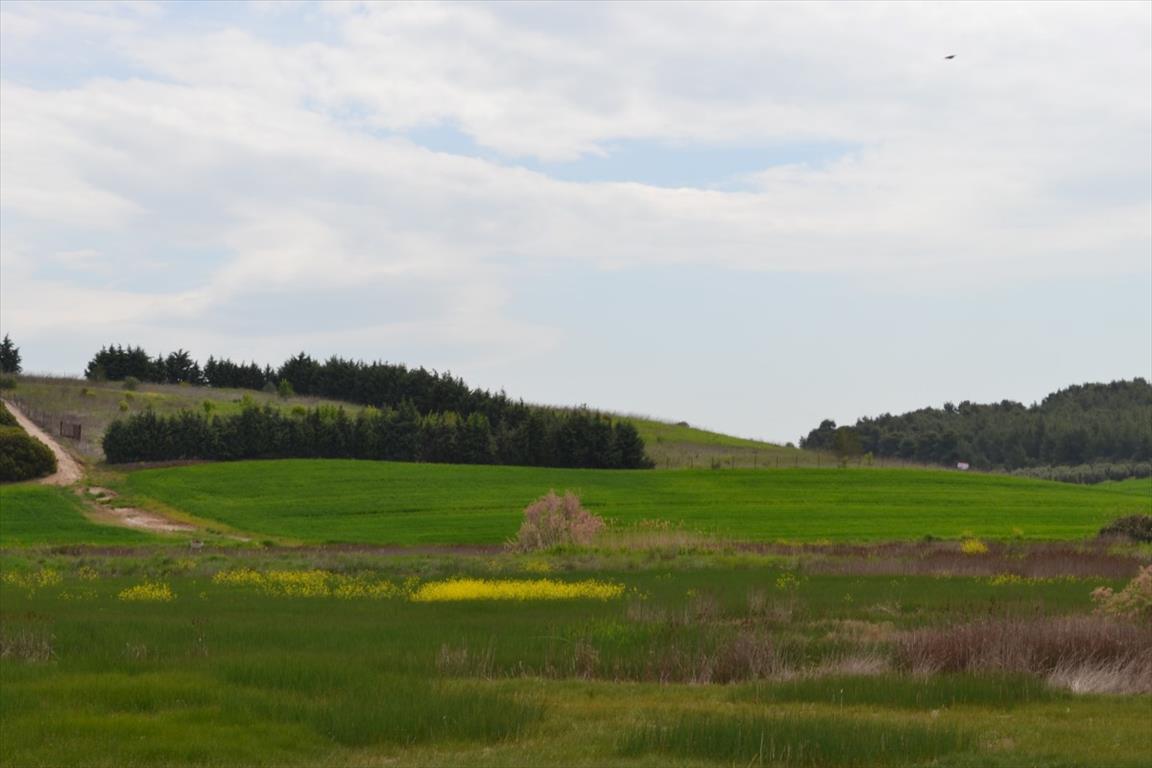Продажа - Земельный участок 10500 m² на Кассандре (Халкидики)