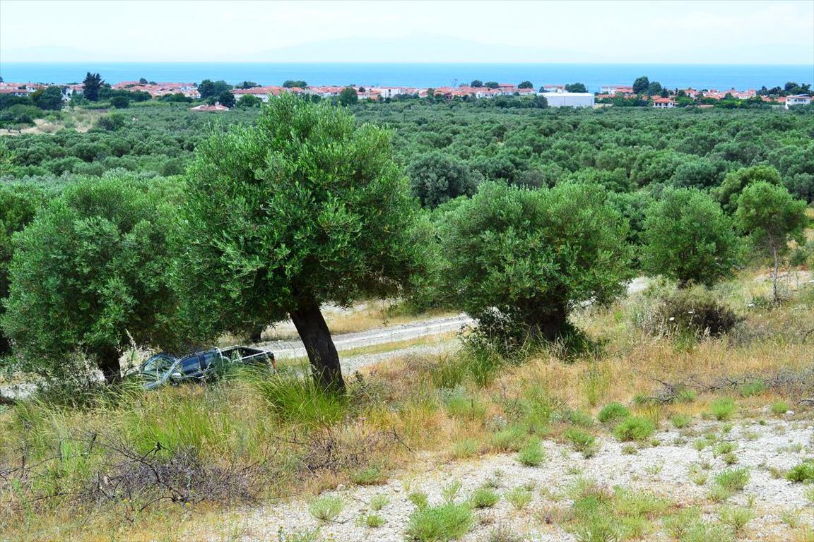 Продажа - Земельный участок 5175 m² на Кассандре (Халкидики)