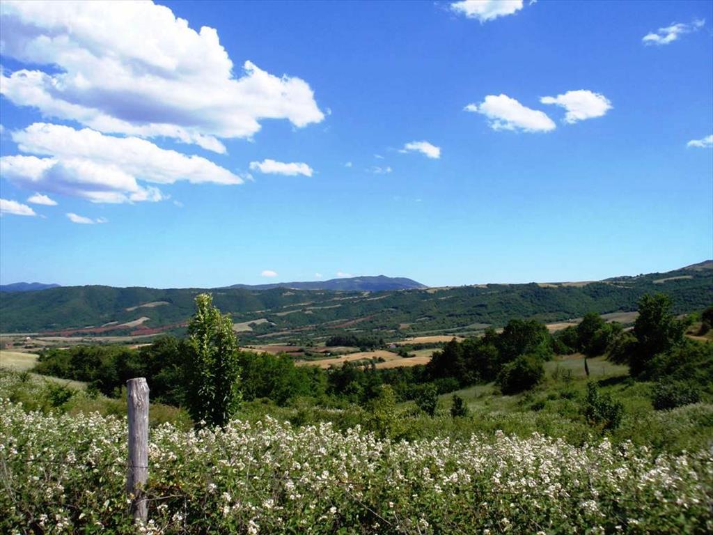 Продажа - Земельный участок 23750 m² в Халкидиках