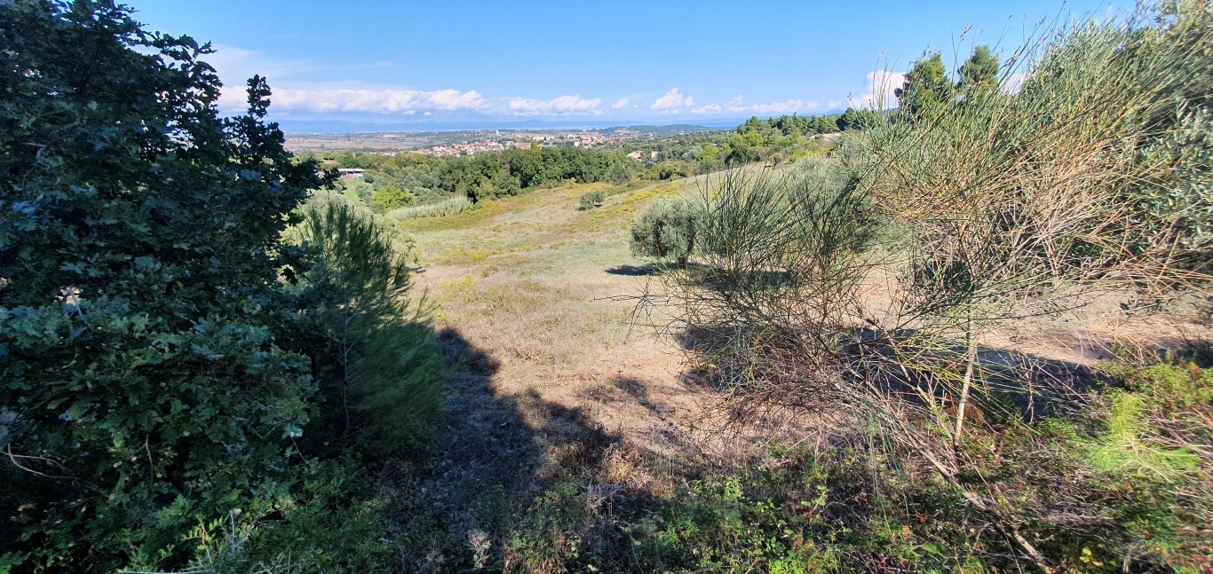Продажа - Земельный участок 6800 m² на Кассандре (Халкидики)