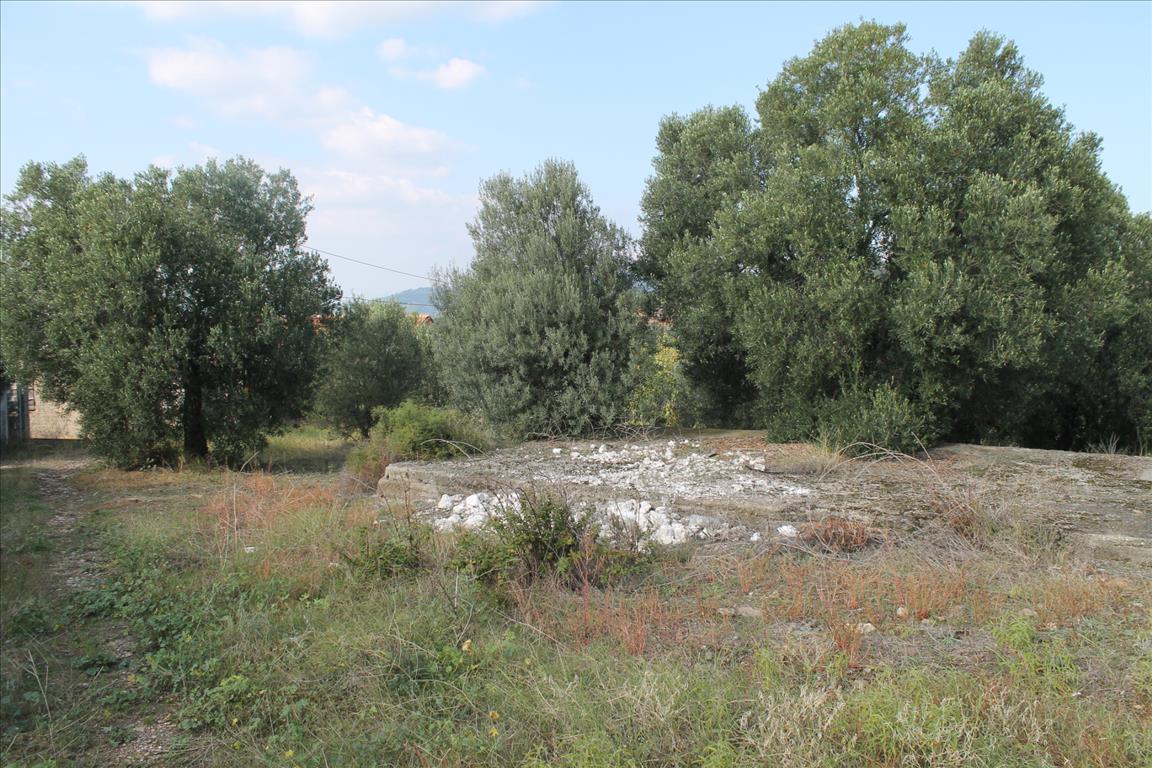 Продажа - Земельный участок 3659 m² на Ситонии (Халкидики)