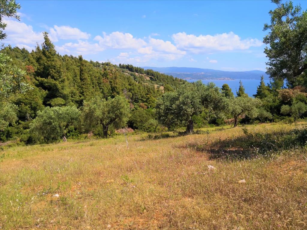 Продажа - Земельный участок 5400 m² на Ситонии (Халкидики)