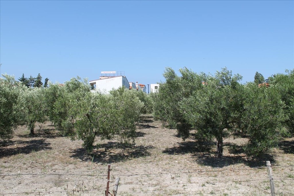 Продажа - Земельный участок 1000 m² на Ситонии (Халкидики)