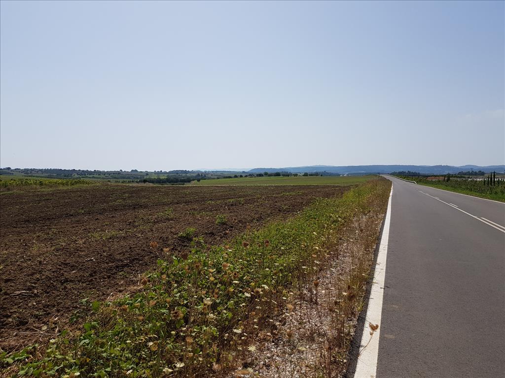 Продажа - Земельный участок 4000 m² на Кассандре (Халкидики)