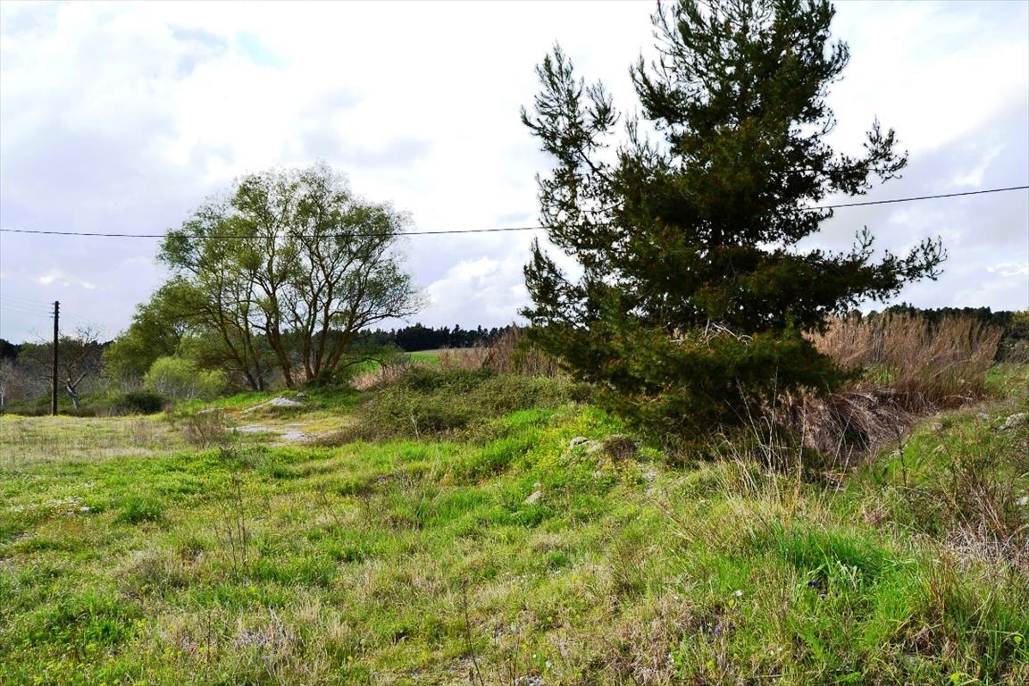 Продажа - Земельный участок 4650 m² на Кассандре (Халкидики)