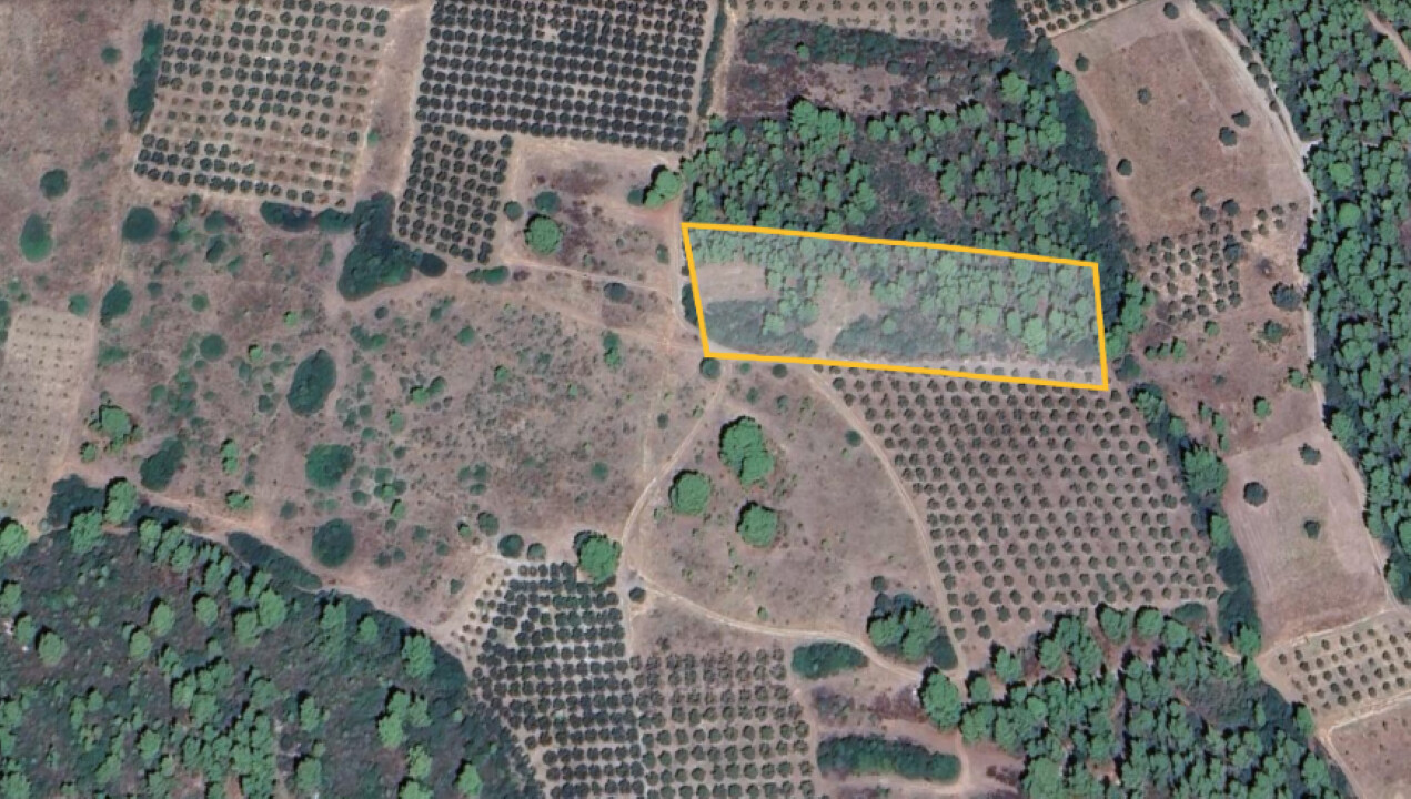 Продажа - Земельный участок 10000 m² на Ситонии (Халкидики)