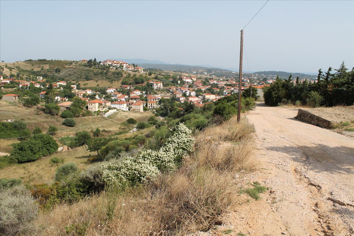 Продажа - Земельный участок 2008 m² на Ситонии (Халкидики)