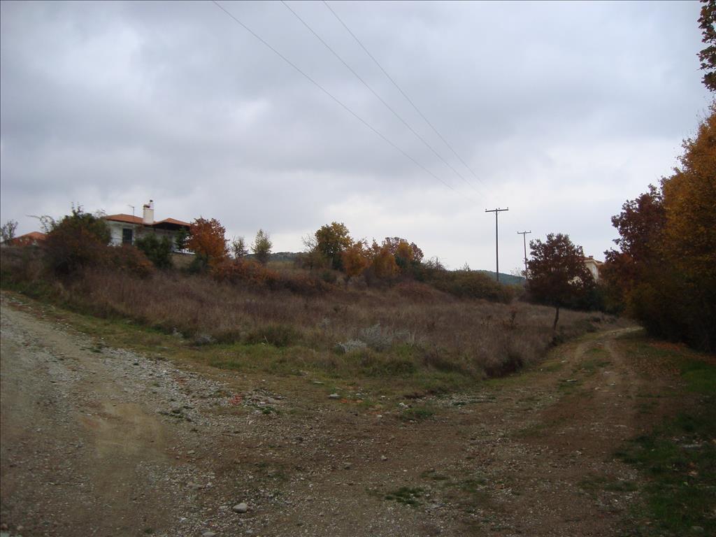 Продажа - Земельный участок 1320 m² в Халкидиках