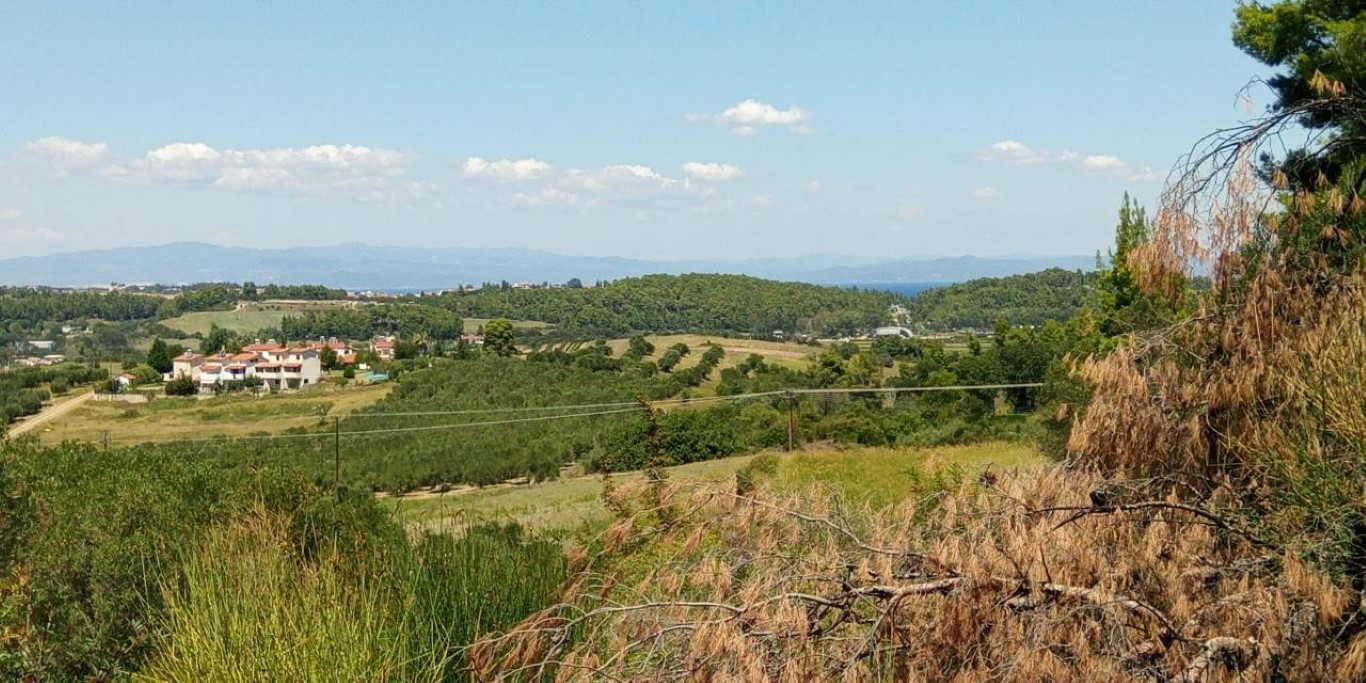 Продажа - Земельный участок 8400 m² на Кассандре (Халкидики)