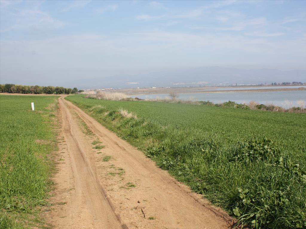 Продажа - Земельный участок 1600 m² на Кассандре (Халкидики)
