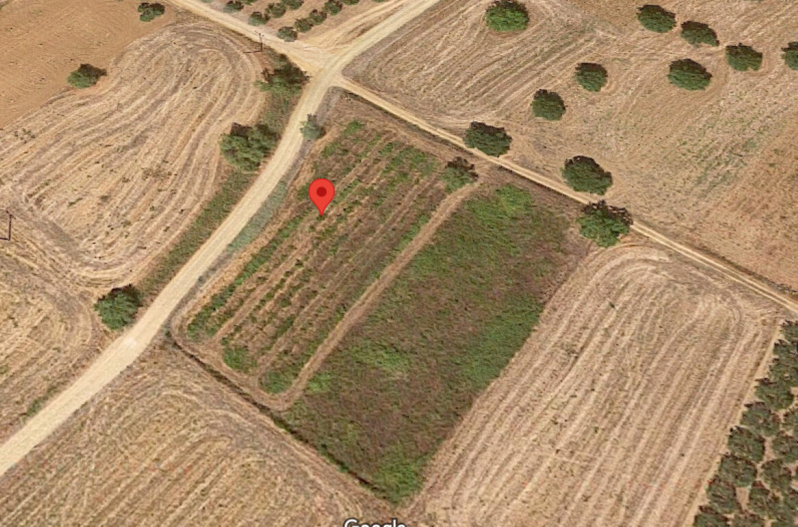 Продажа - Земельный участок 2500 m² на Кассандре (Халкидики)