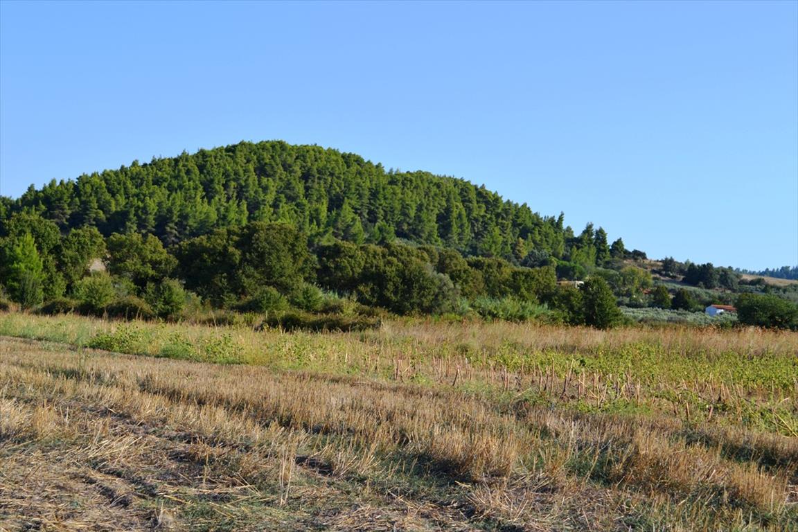 Продажа - Земельный участок 4000 m² на Кассандре (Халкидики)