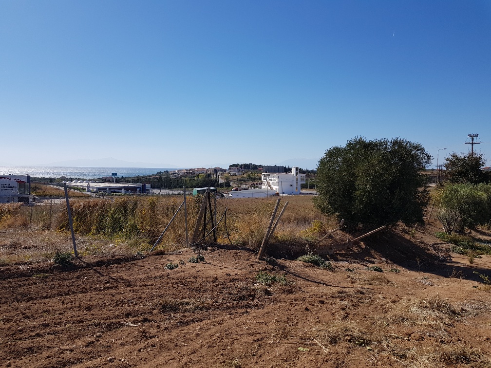 Продажа - Земельный участок 5500 m² в Халкидиках