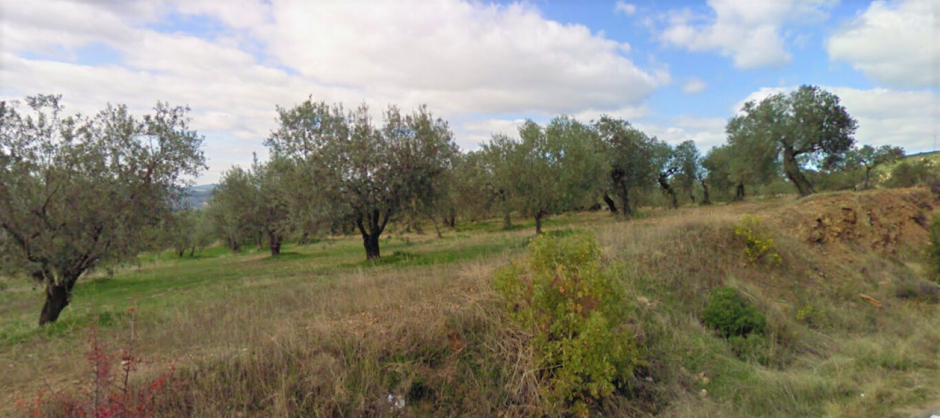 Продажа - Земельный участок 4500 m² на Ситонии (Халкидики)