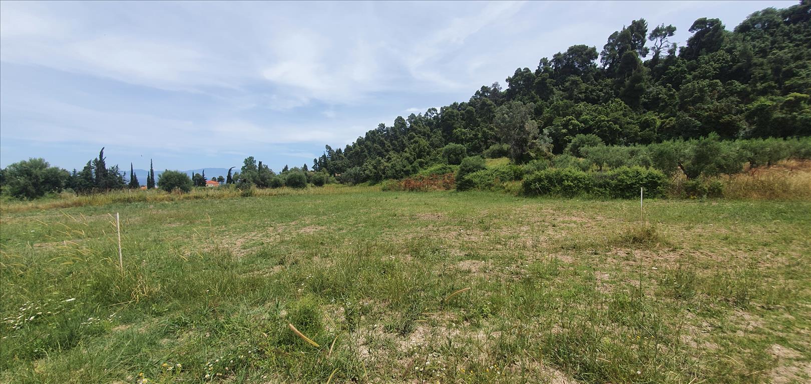 Продажа - Земельный участок 3928 m² на Кассандре (Халкидики)