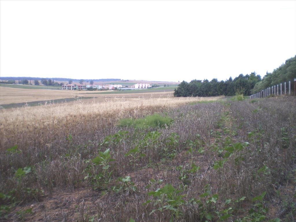 Продажа - Земельный участок 4370 m² на Кассандре (Халкидики)