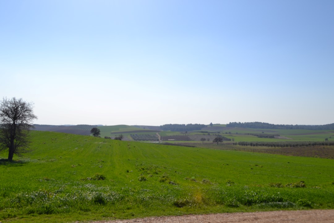 Продажа - Земельный участок 10500 m² на Кассандре (Халкидики)