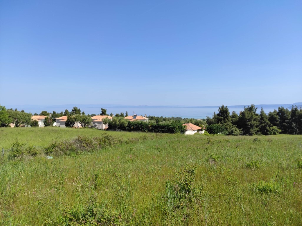 Продажа - Земельный участок 4218 m² на Кассандре (Халкидики)
