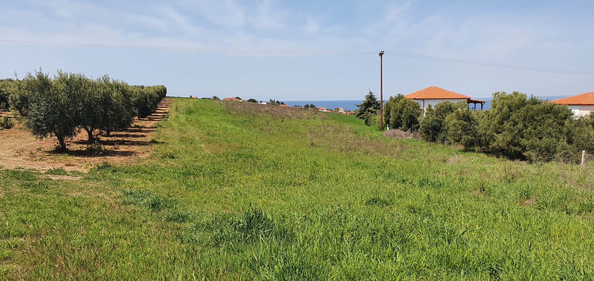 Продажа - Земельный участок 5500 m² на Кассандре (Халкидики)