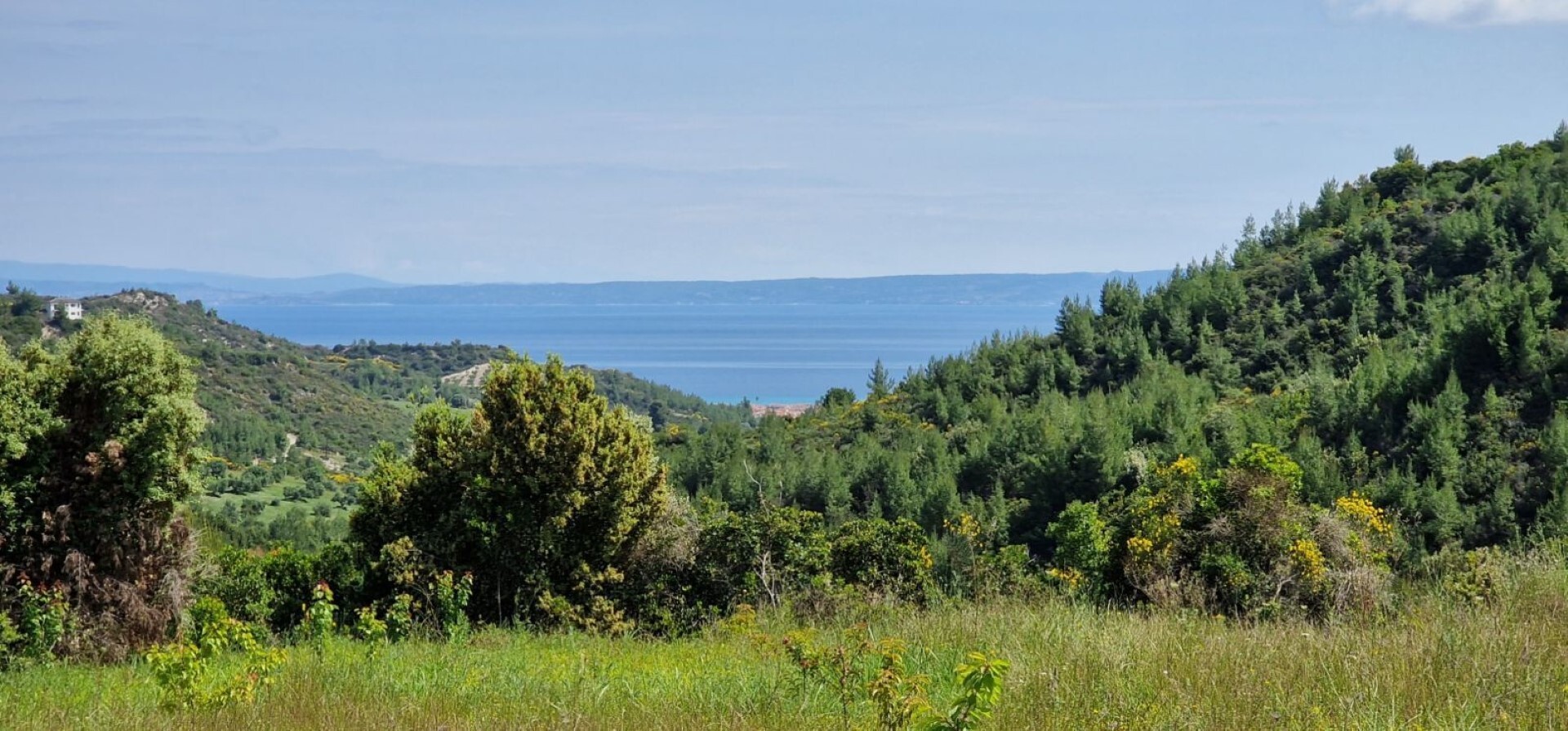 Продажа - Земельный участок 10000 m² на Кассандре (Халкидики)