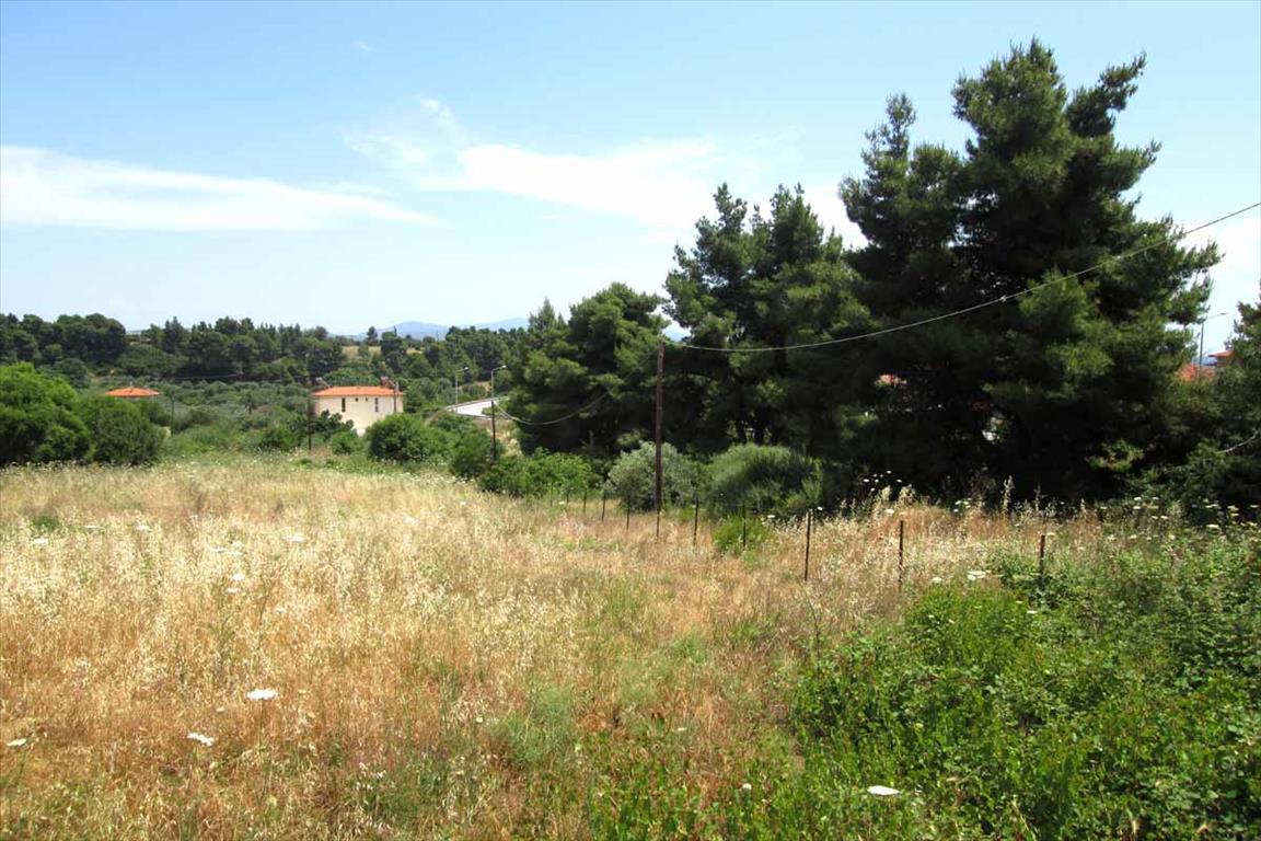Продажа - Земельный участок 1500 m² на Ситонии (Халкидики)