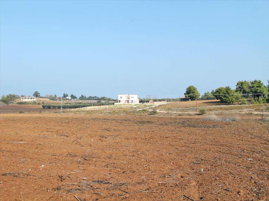 Продажа - Земельный участок 5875 m² на Кассандре (Халкидики)