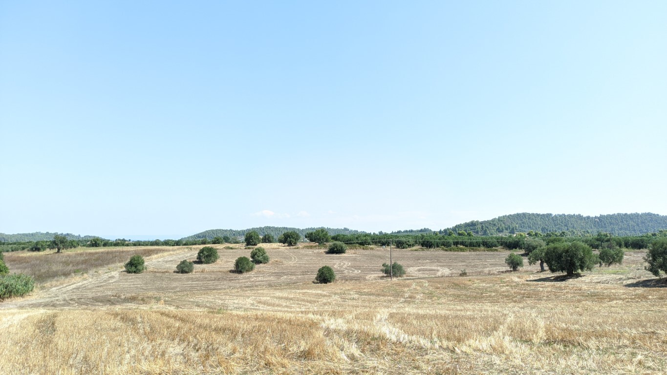 Продажа - Земельный участок 6000 m² на Кассандре (Халкидики)