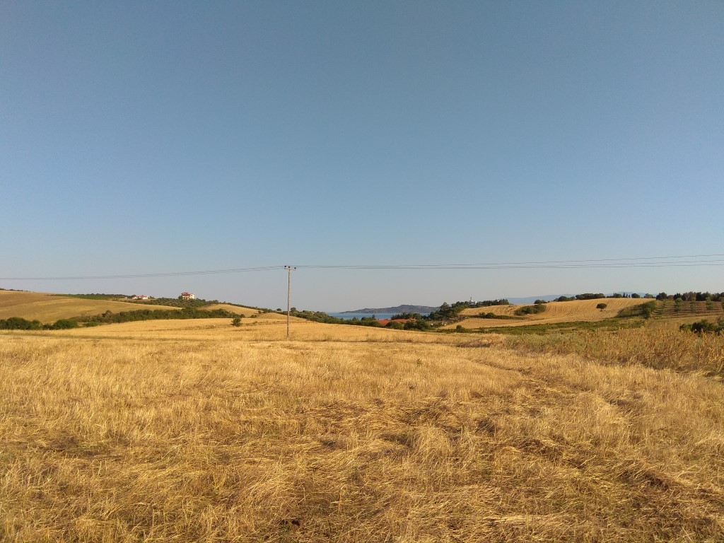 Продажа - Земельный участок 8453 m² на Афоне (Халкидики)