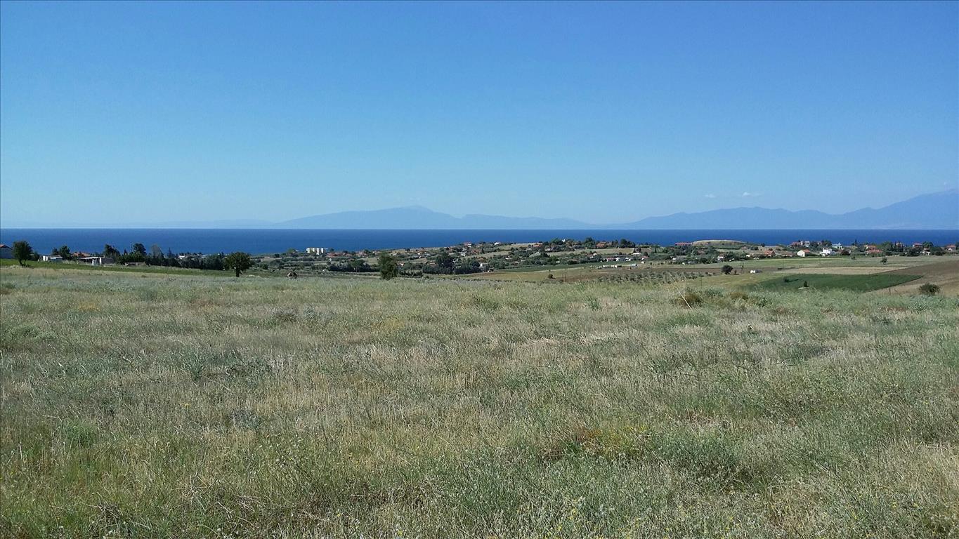 Продажа - Земельный участок 10262 m² в Халкидиках
