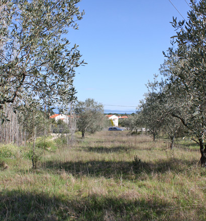 Продажа - Земельный участок 17643 m² на Ситонии (Халкидики)