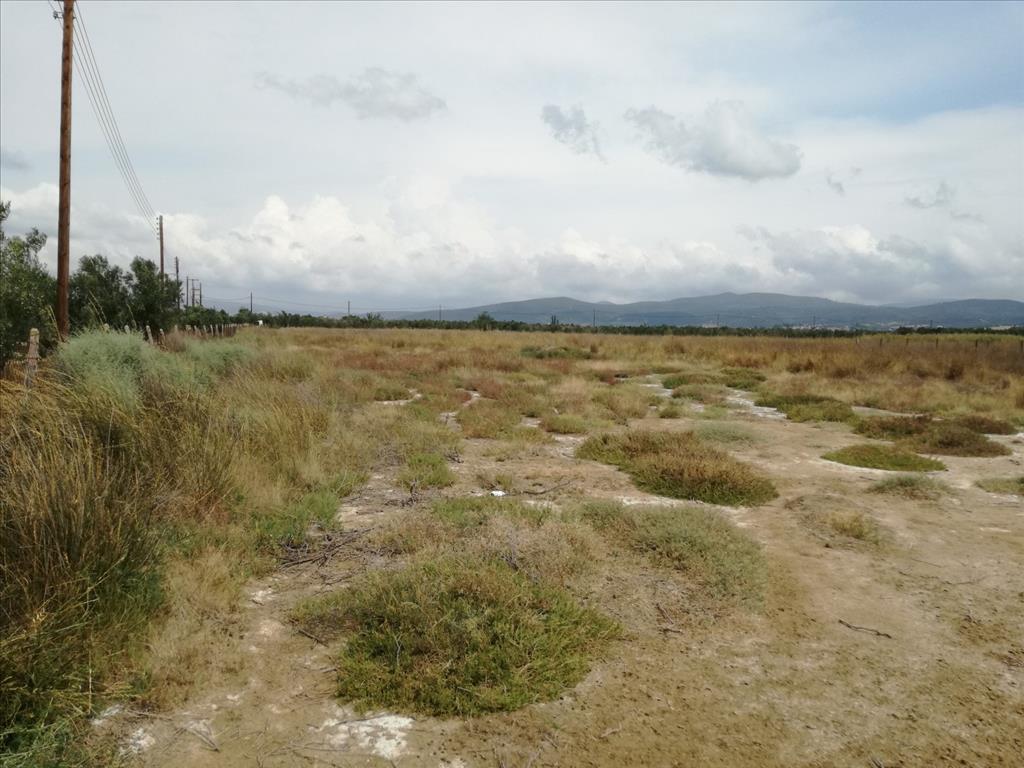 Продажа - Земельный участок 12653 m² на Ситонии (Халкидики)