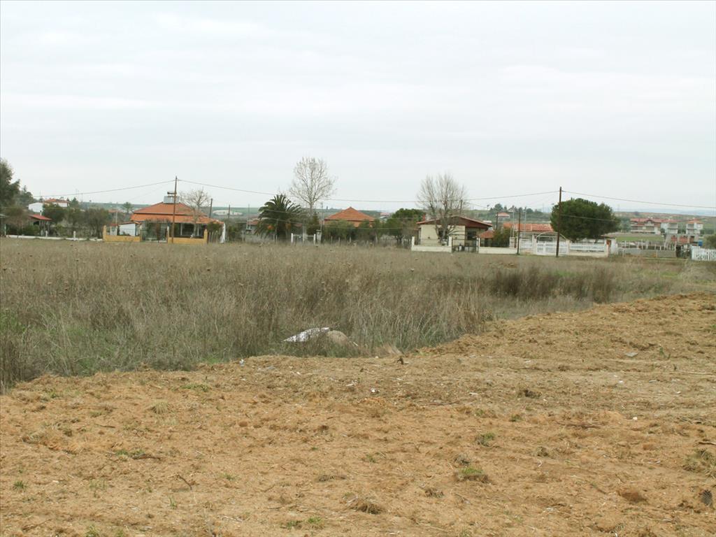 Продажа - Земельный участок 2993 m² в Халкидиках