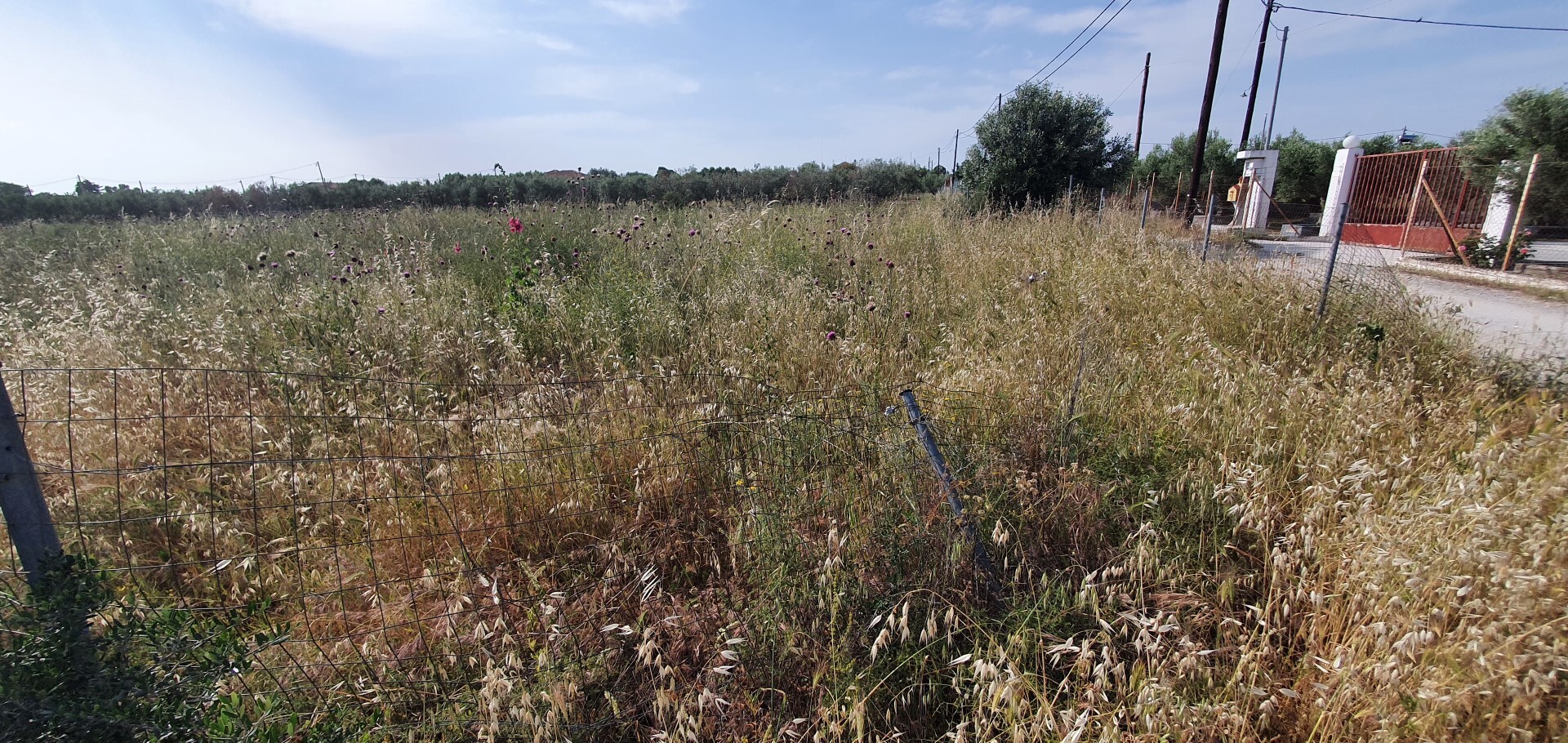 Продажа - Земельный участок 500 m² в Халкидиках