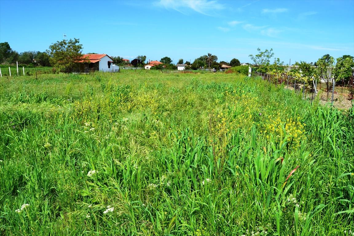 Продажа - Земельный участок 1200 m² на Кассандре (Халкидики)