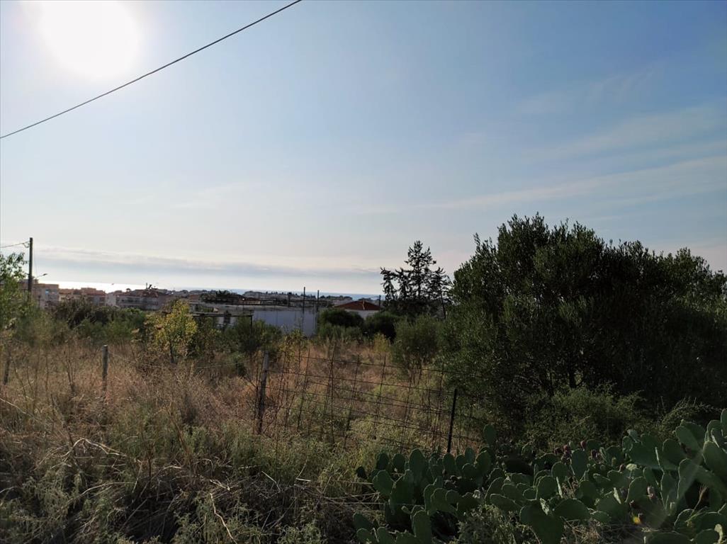 Продажа - Земельный участок 3685 m² в Халкидиках