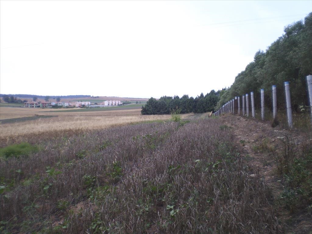Продажа - Земельный участок 4370 m² на Кассандре (Халкидики)