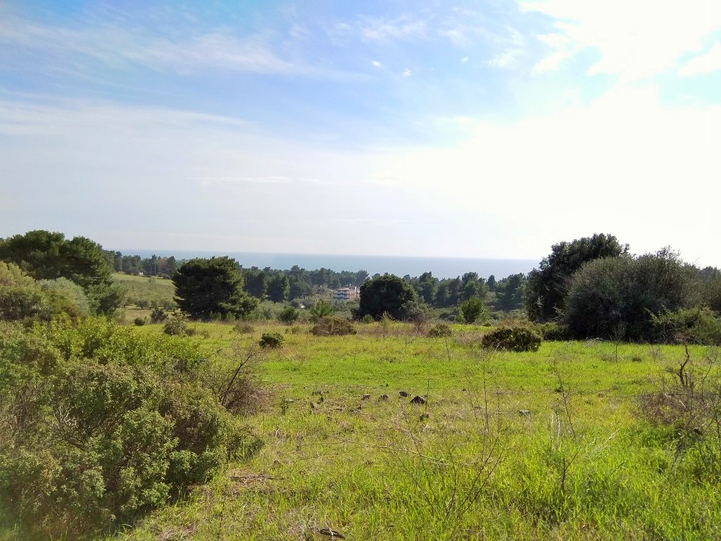 Продажа - Земельный участок 5300 m² на Ситонии (Халкидики)