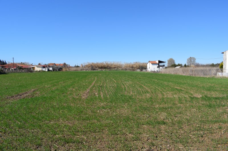 Продажа - Земельный участок 4008 m² в Халкидиках