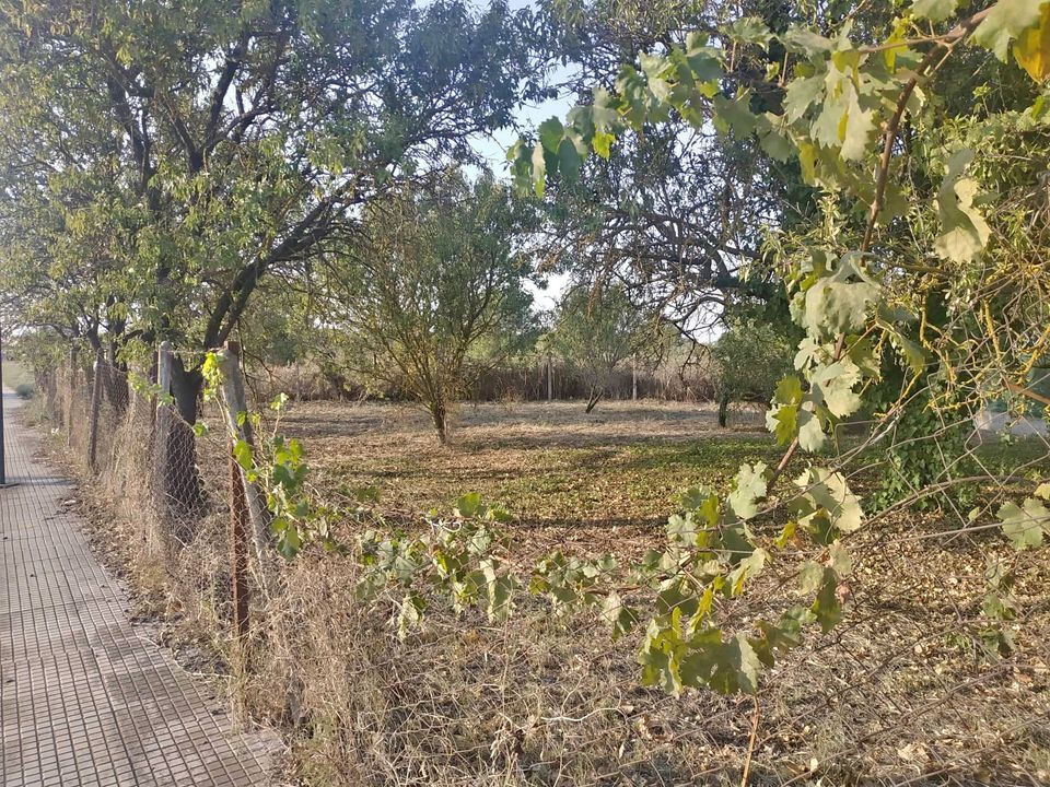 Продажа - Земельный участок 350 m² в Халкидиках