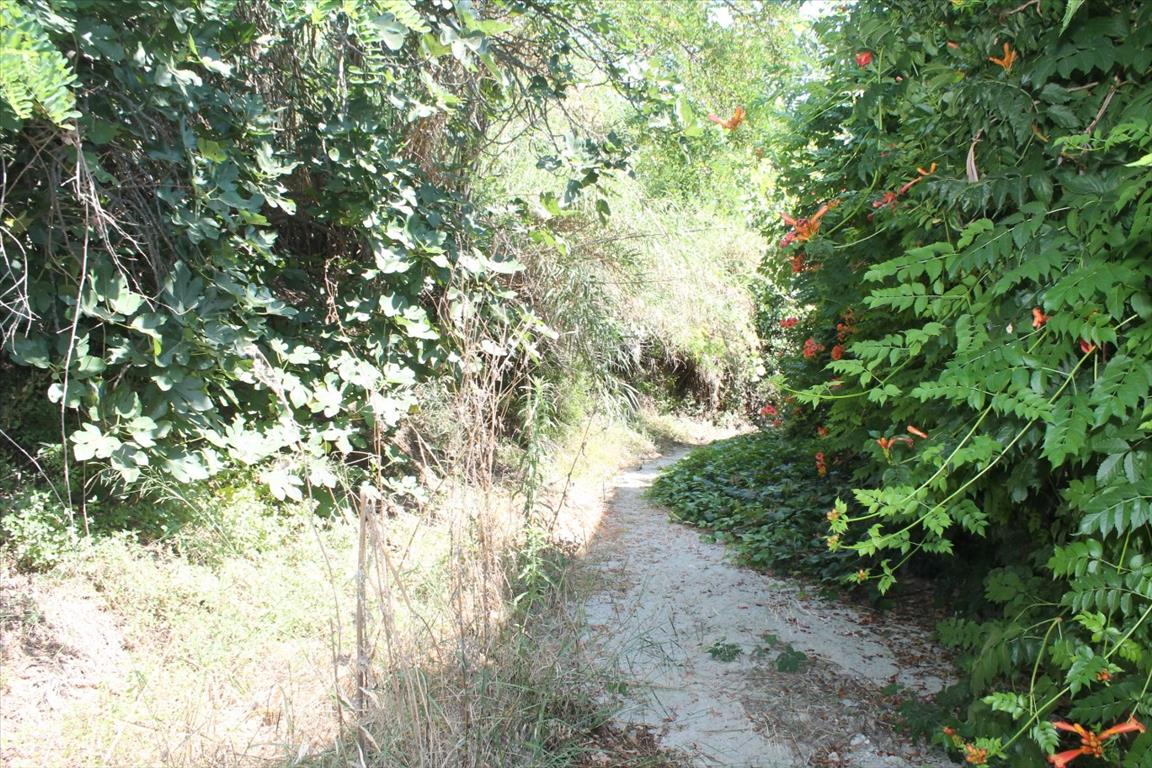 Продажа - Земельный участок 200 m² на Кассандре (Халкидики)