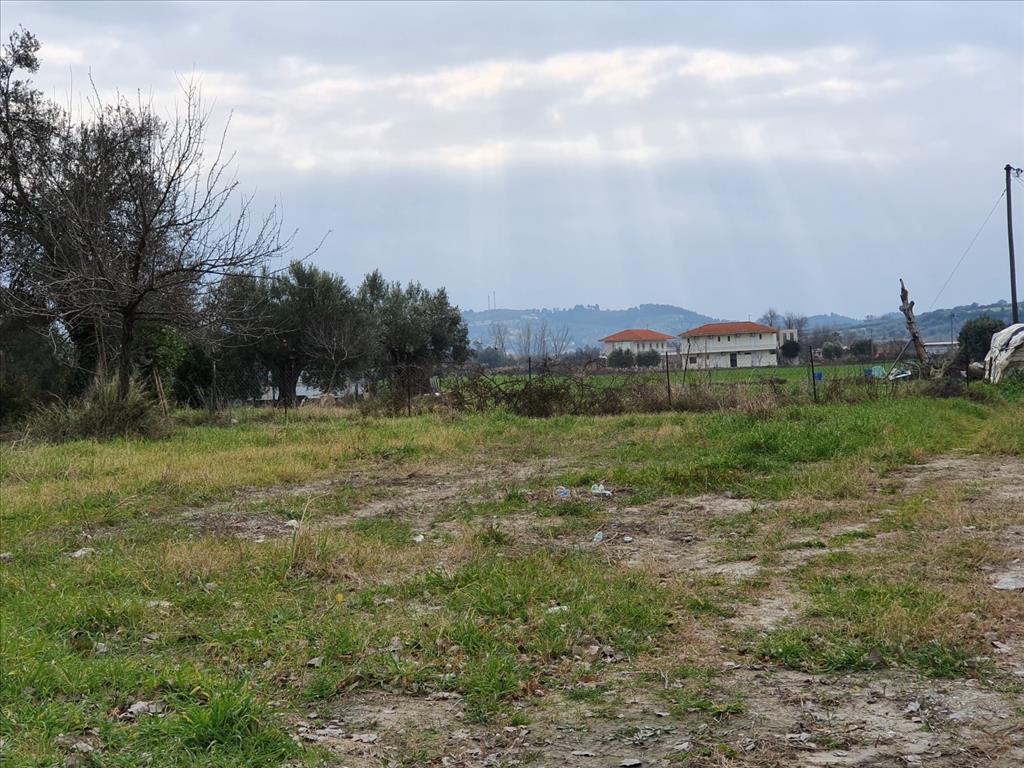 Продажа - Земельный участок 2000 m² на Кассандре (Халкидики)