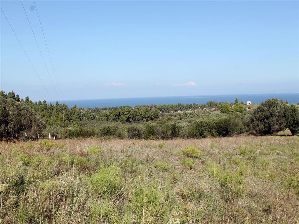 Продажа - Земельный участок 22500 m² на Кассандре (Халкидики)
